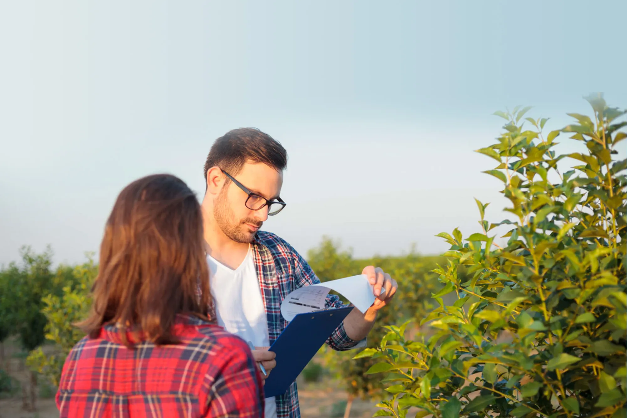 Consulenza agronomica bologna